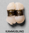 Kammusling Nigiri (2 stk)